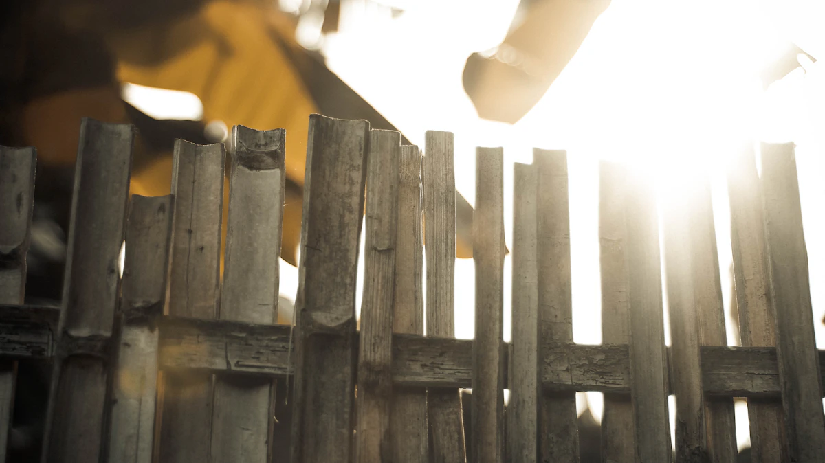 A timber fence glowing warm in the evening sun.