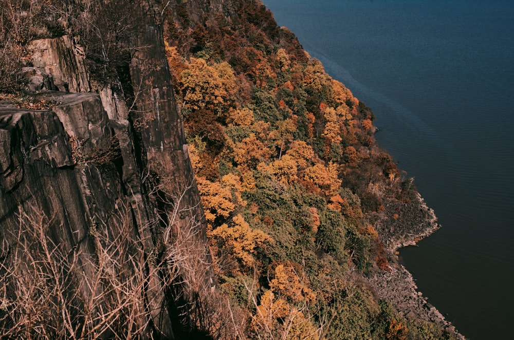 brown and green mountain beside blue sea during daytime