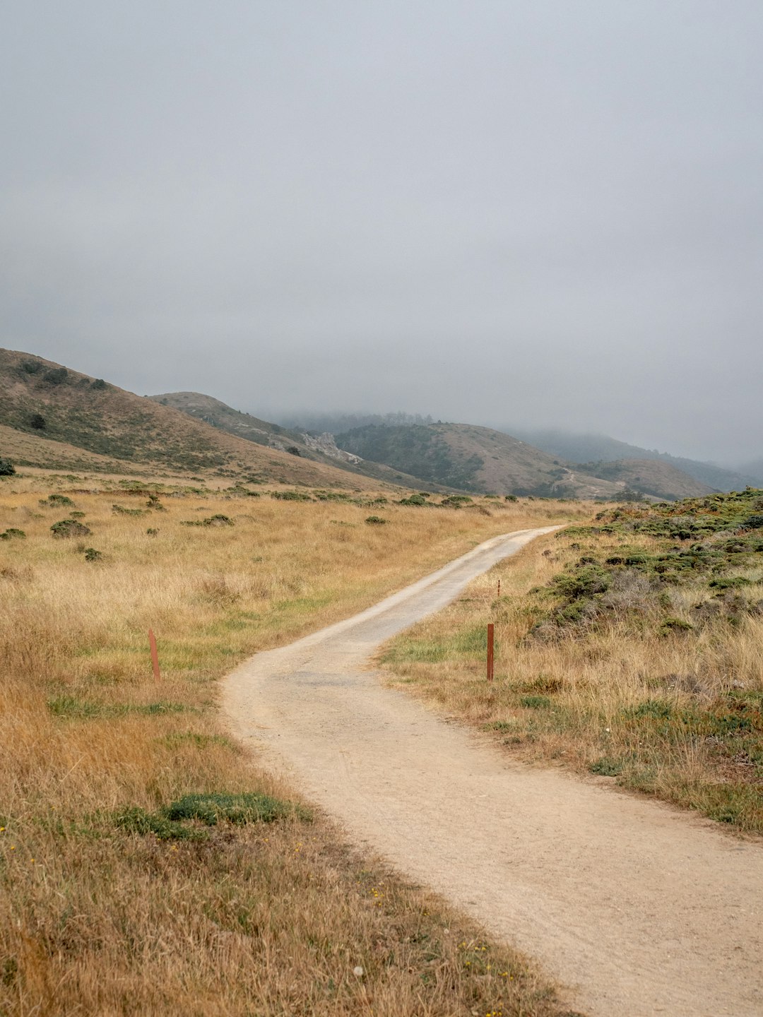 brown dirt road between green grass field during daytime