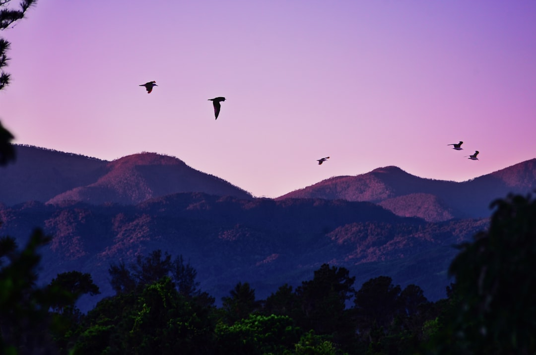 photo of San Jose de Las Matas Mountain near Pico Duarte