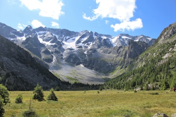 A vast mountainous landscape with rugged peaks covered in patches of snow under a clear blue sky. Verdant coniferous forests spread across the foothills, while the foreground reveals an open grassy valley dotted with small bushes and trees. Two hikers can be seen walking on the right, adding a sense of scale and exploration to the scene.
