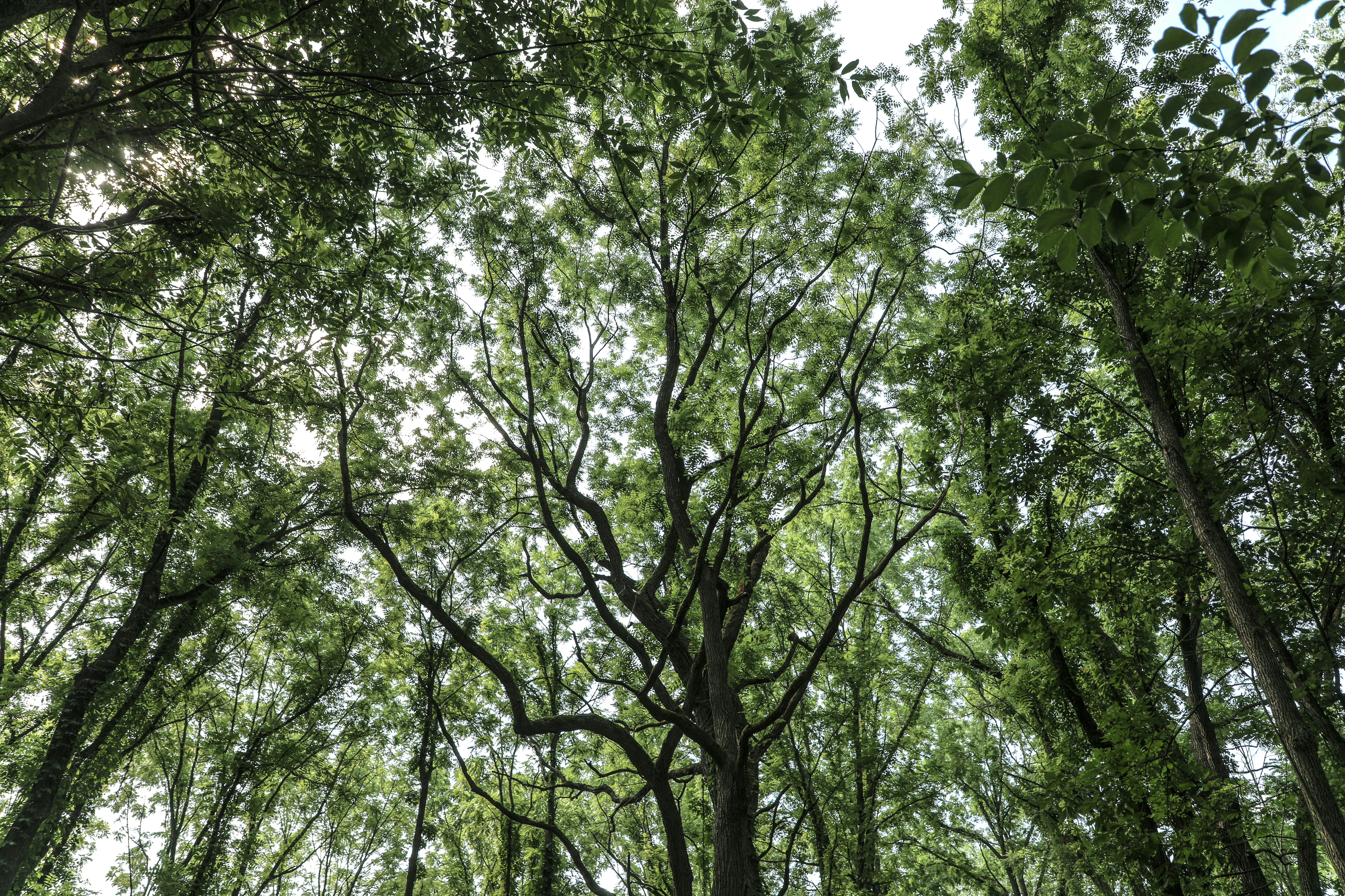 Photo by michaelbweidner