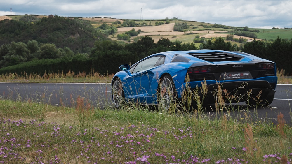 blue car on green grass field during daytime