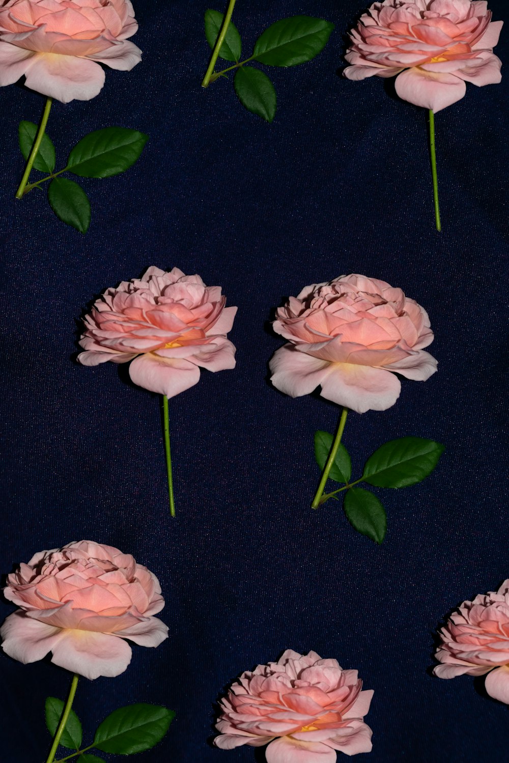 pink roses on black textile