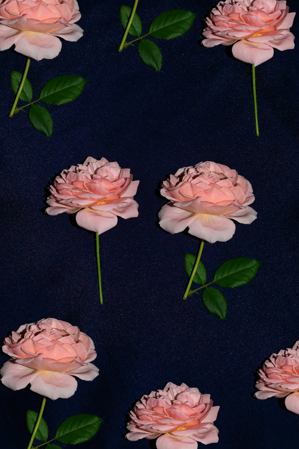 roses roses sur textile noir