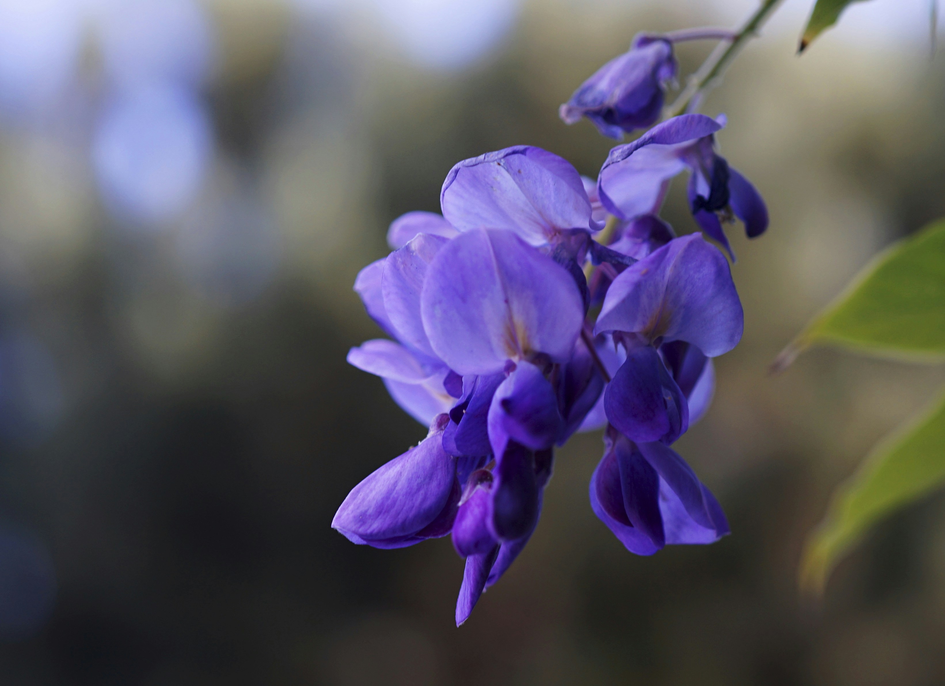 Photo by alpinstephane