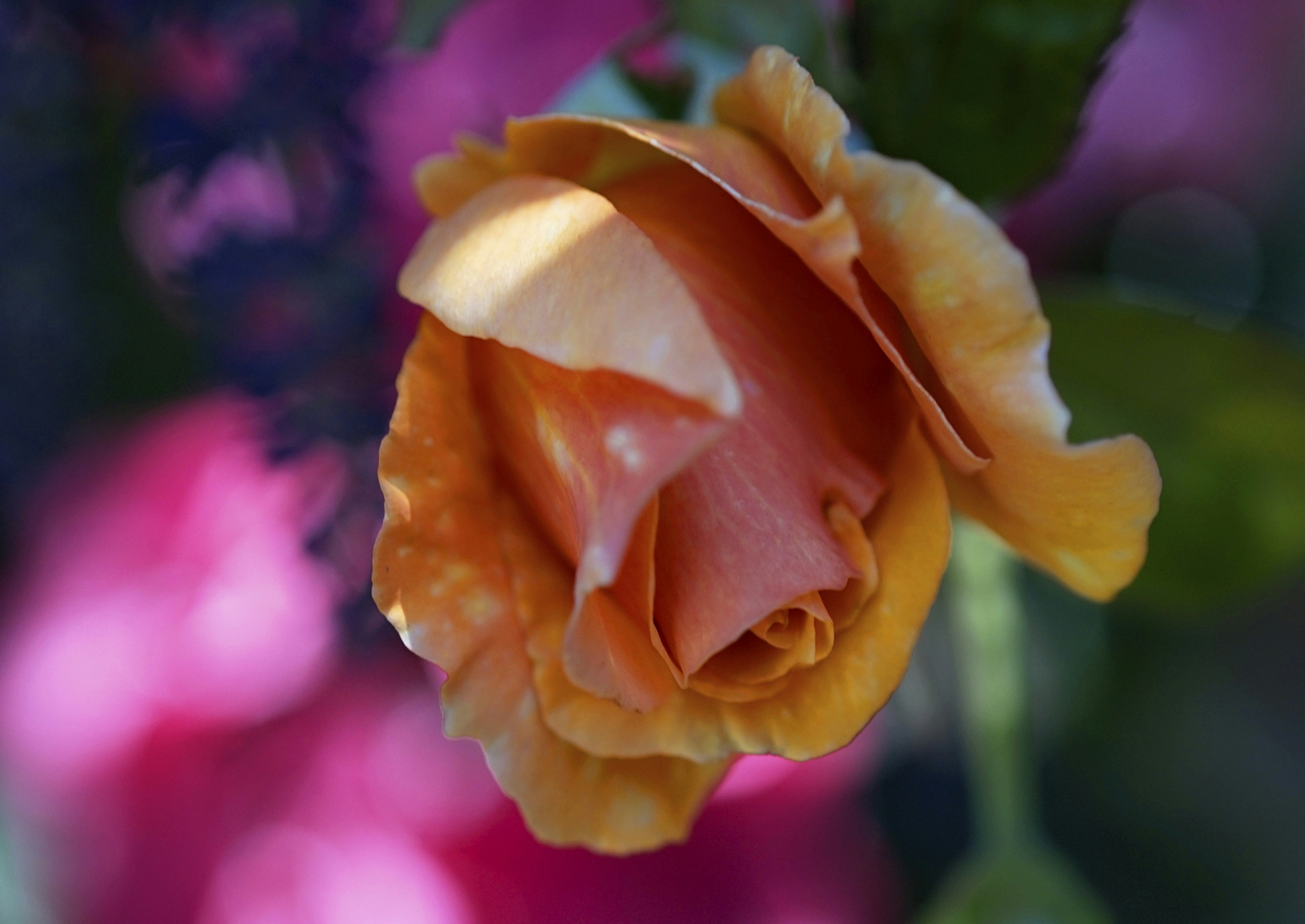 Photo by alpinstephane