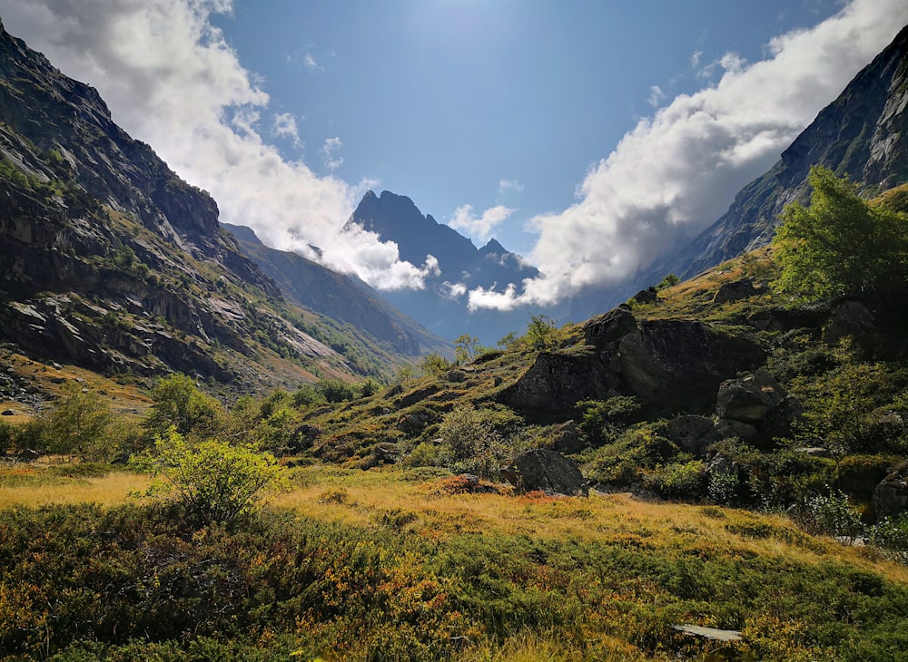 Grüne Wiese und Berge unter blauem Himmel während des Tages