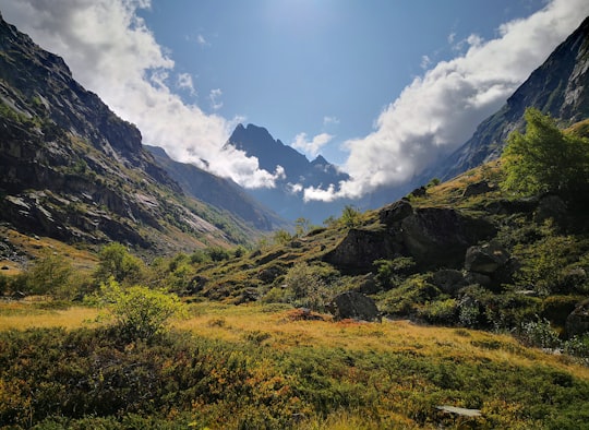 green grass field and mountains under blue sky during daytime in Écrins France