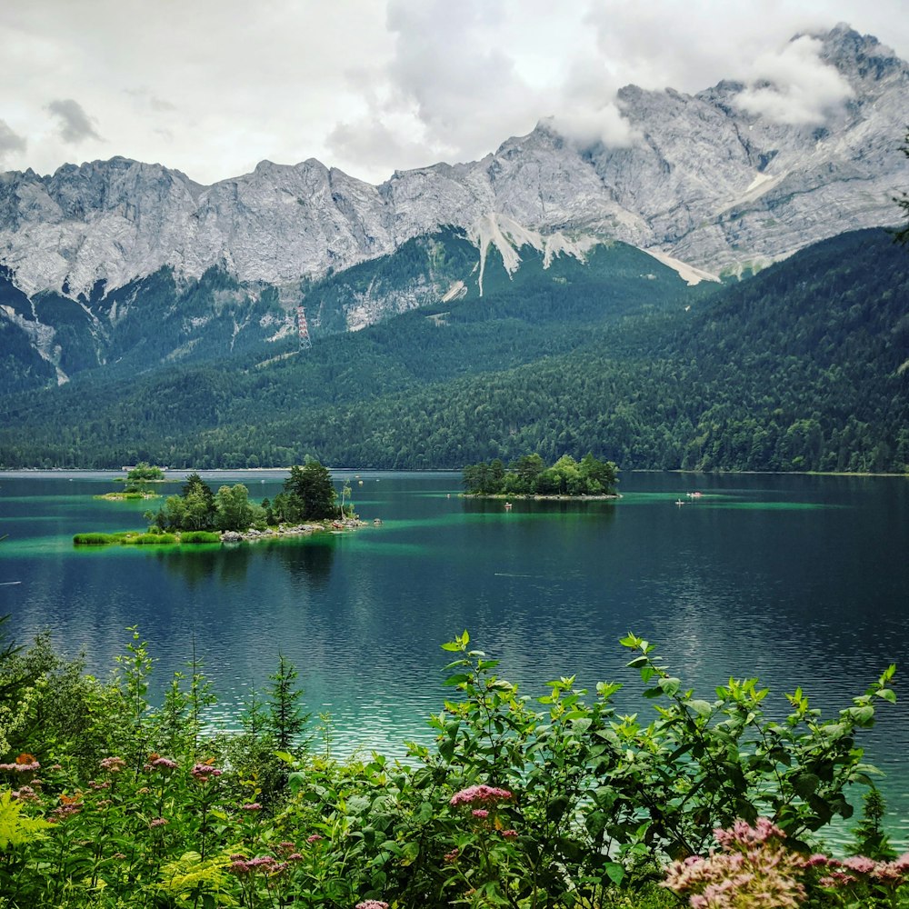 Árboles verdes cerca del lago y la montaña durante el día