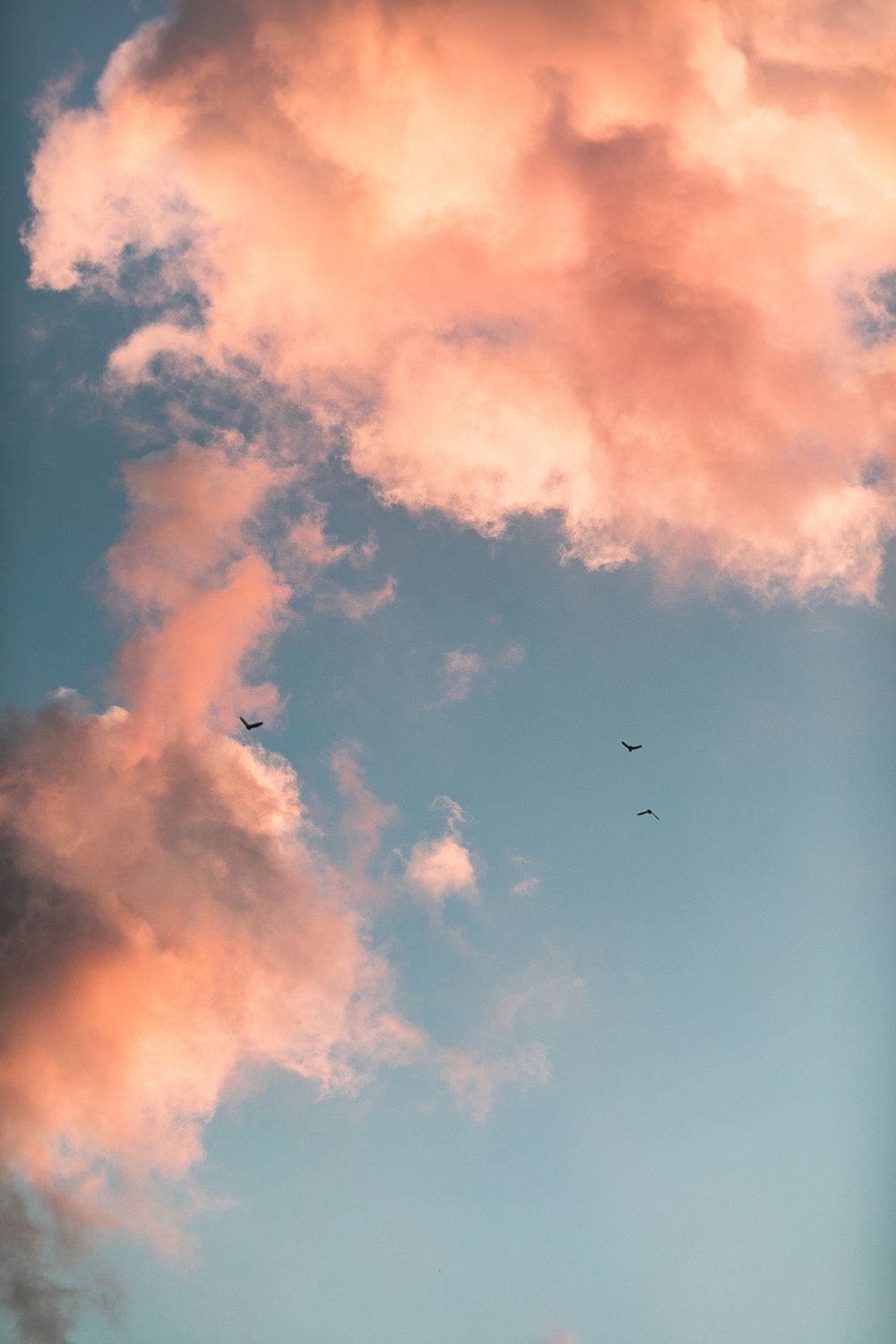 Flugzeug, das tagsüber am Himmel fliegt