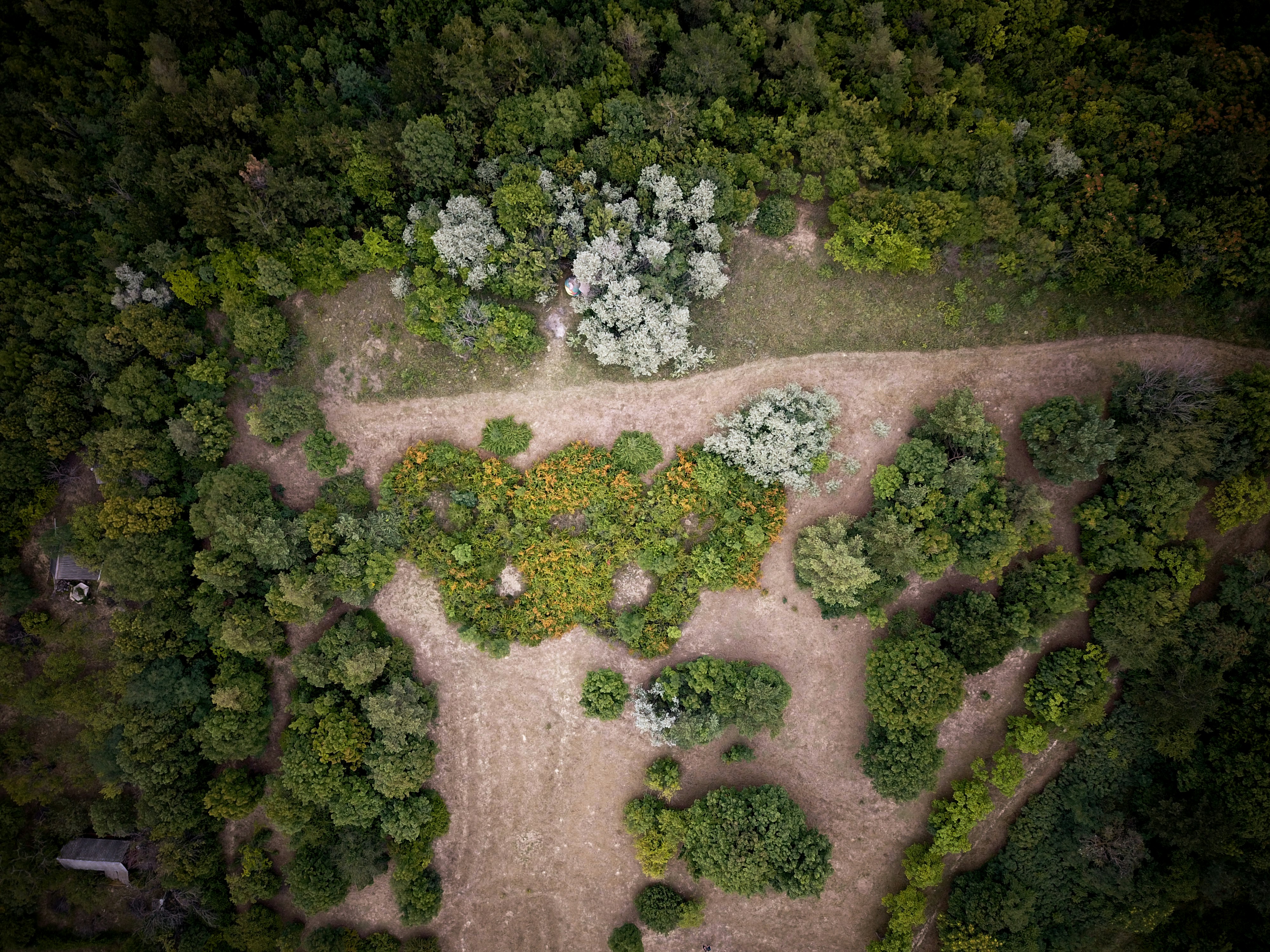 회색 콘크리트 벽에 녹색 이끼