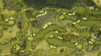 img 2