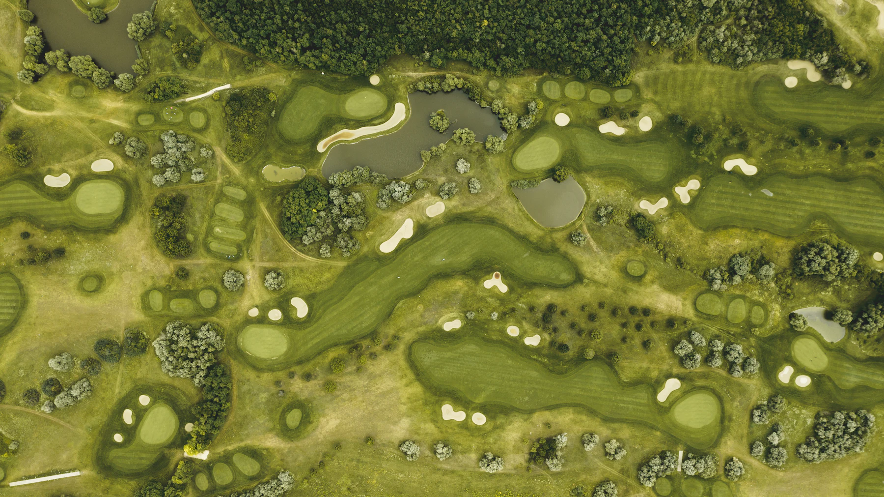 Aerial view of a full golf course threading through trees and water