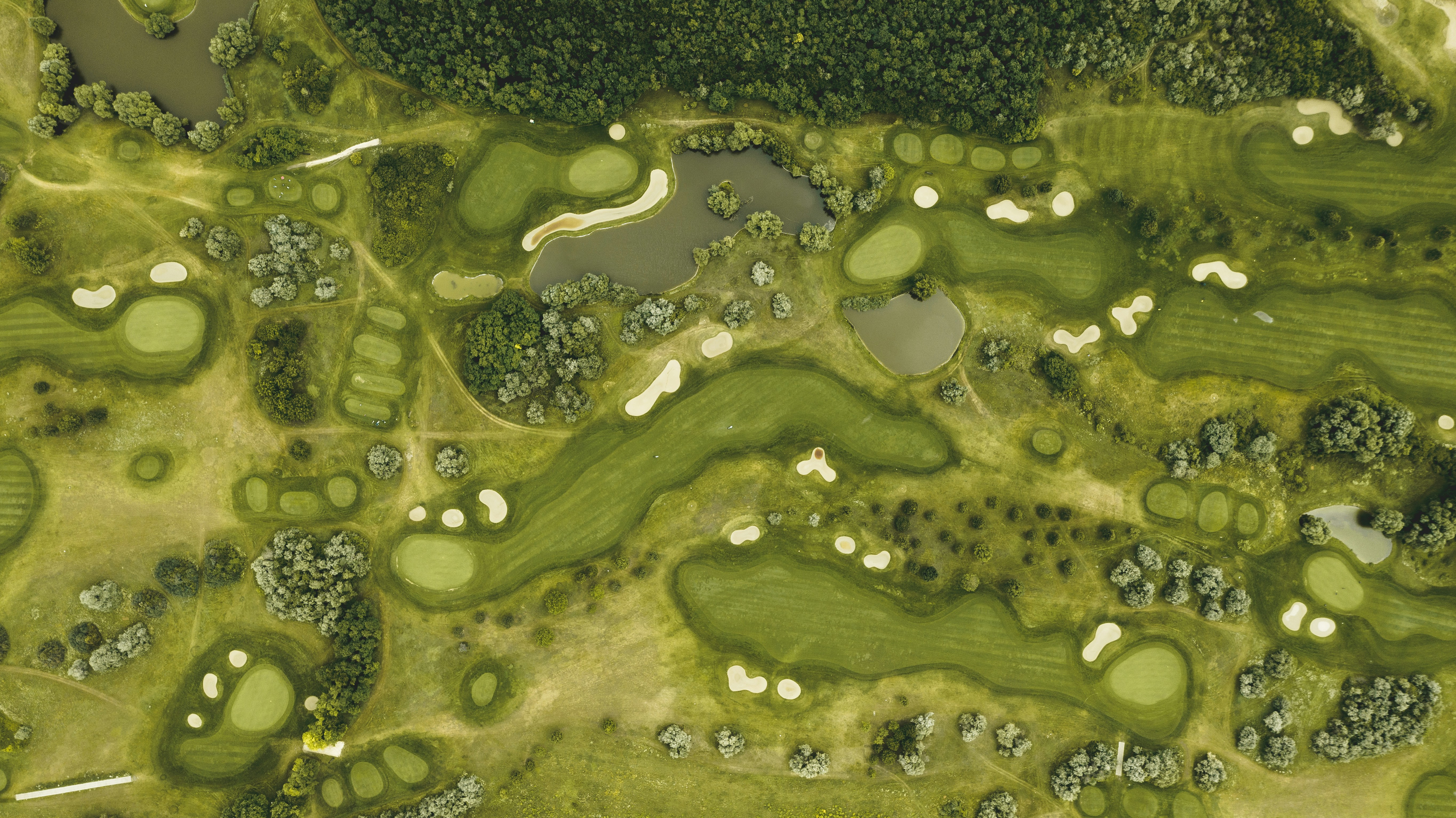 Achieve Your Golfing Dreams Today