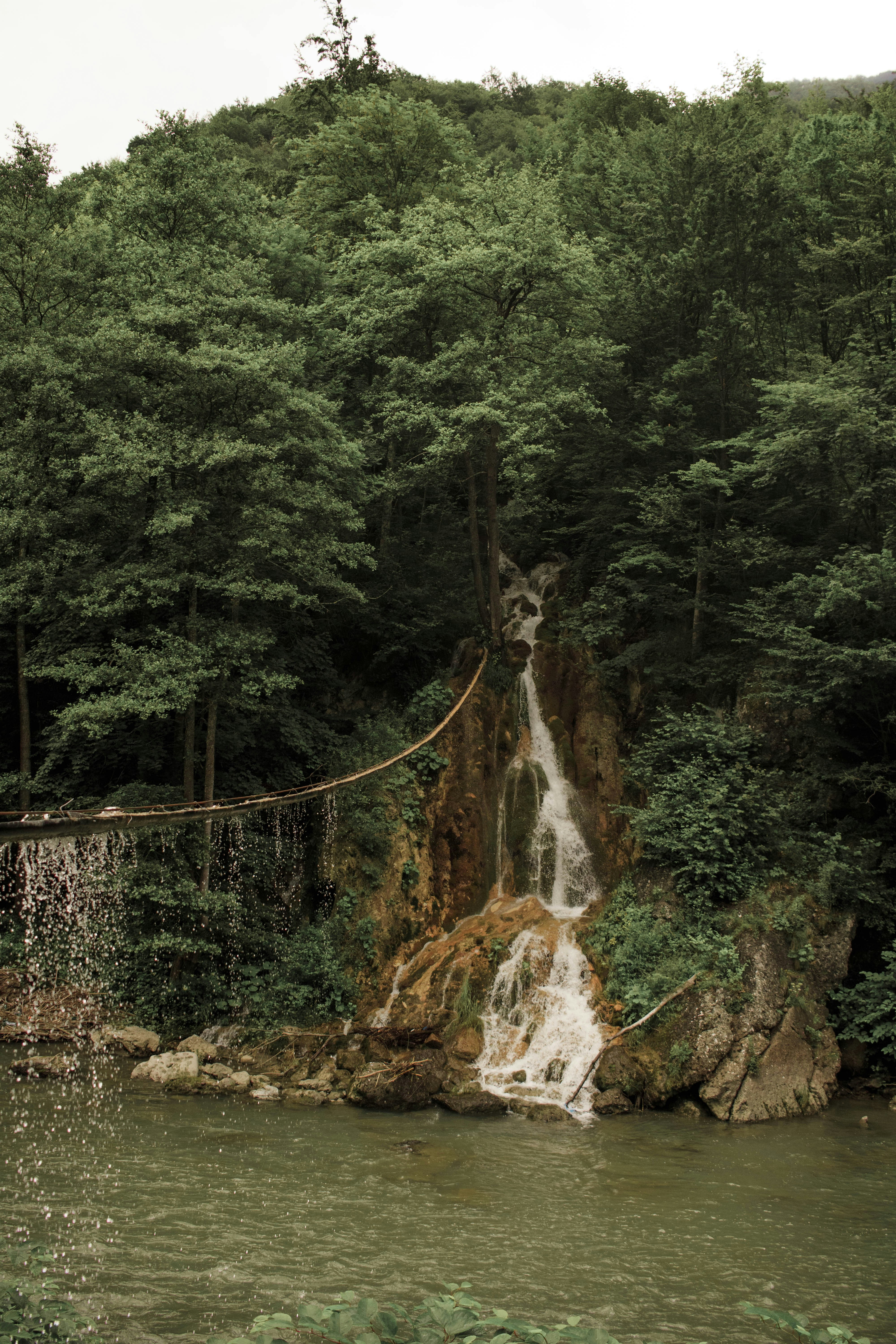 waterfalls in the middle of forest during daytime