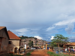 green trees near houses under white clouds and blue sky during daytime
