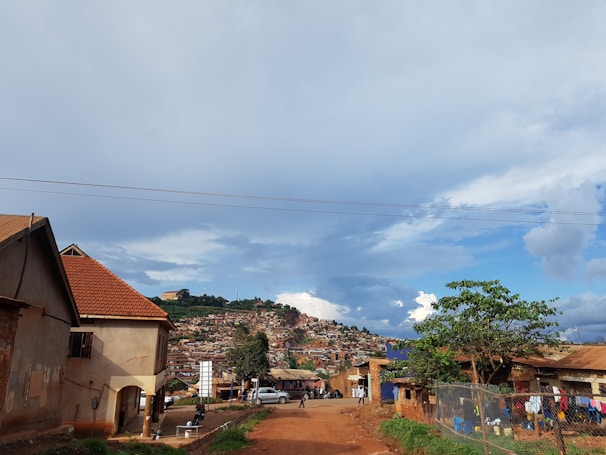 green trees near houses under white clouds and blue sky during daytime