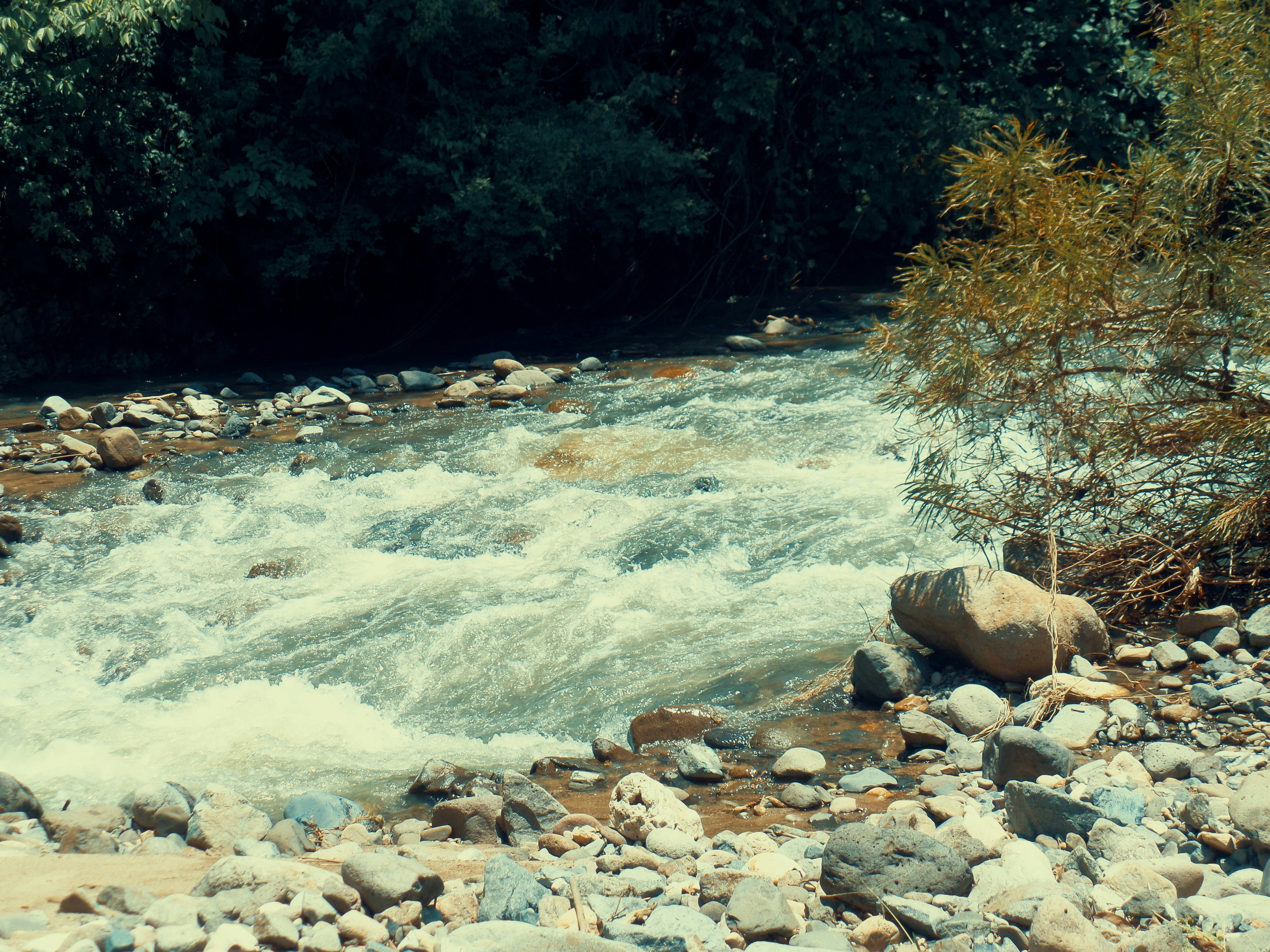 Photo by alejandroalas7536