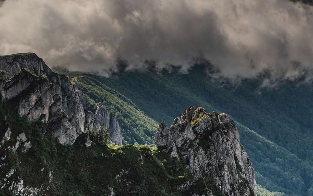 green trees on mountain under cloudy sky during daytime