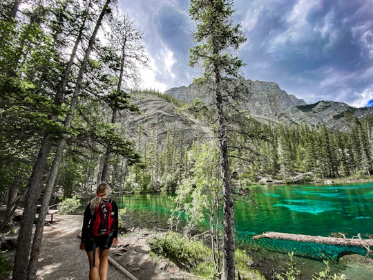 woman in black shirt and black shorts standing on brown dirt pathway near green trees and in Grassi Lakes Canada