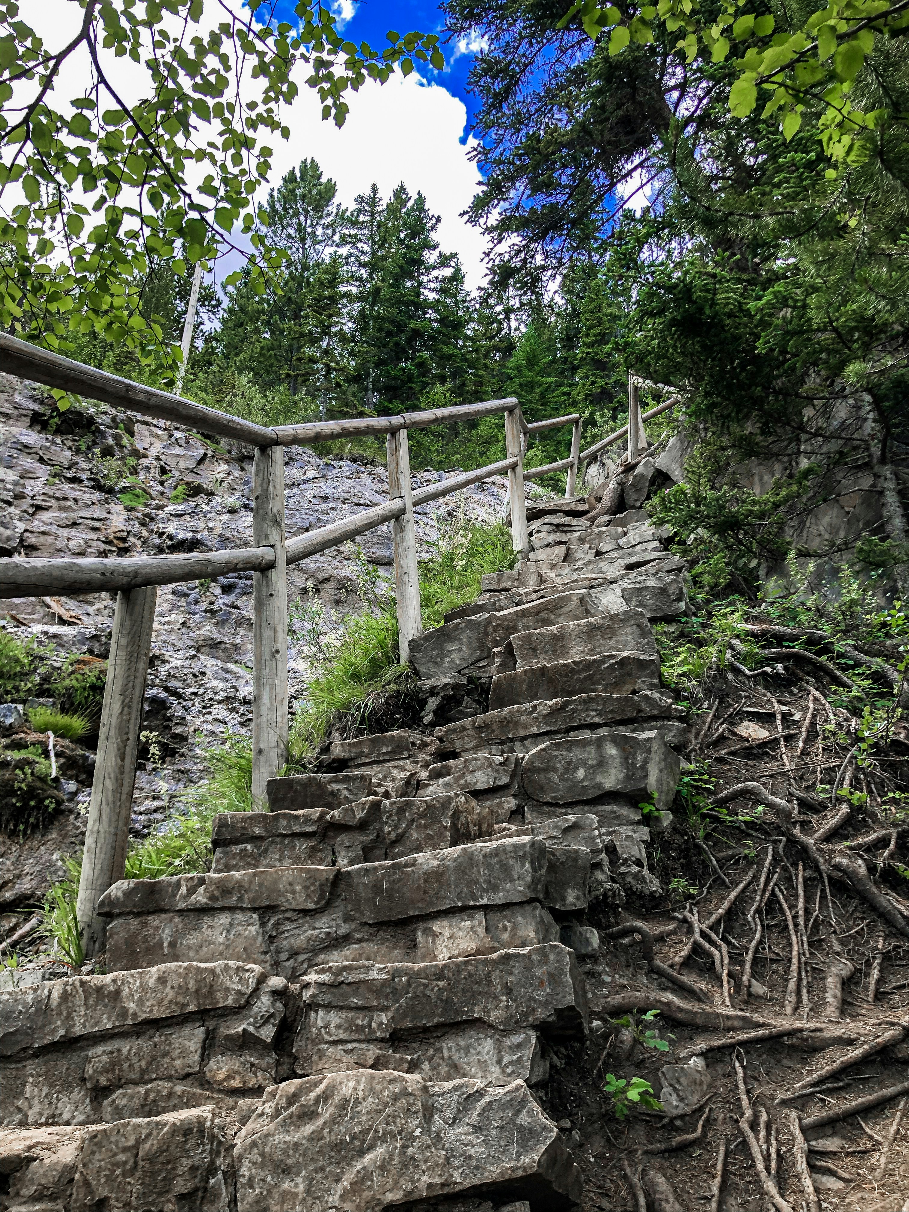 Gray concrete stairs near green trees during daytime