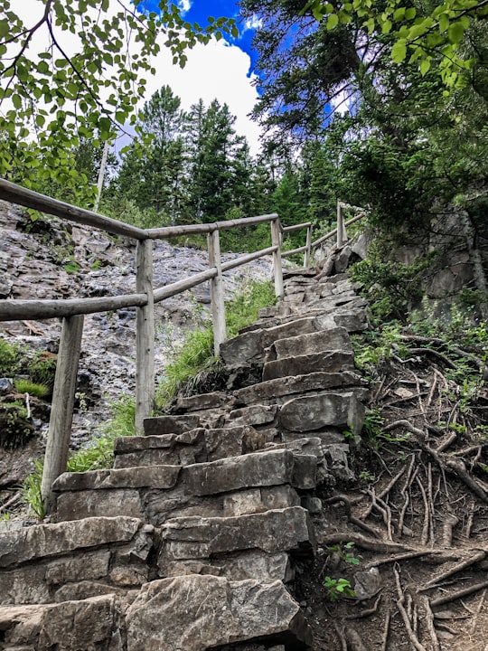 gray concrete stairs near green trees during daytime in Grassi Lakes Canada