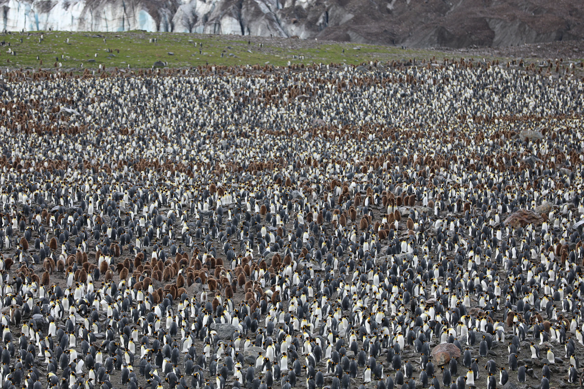 people on green grass field during daytime