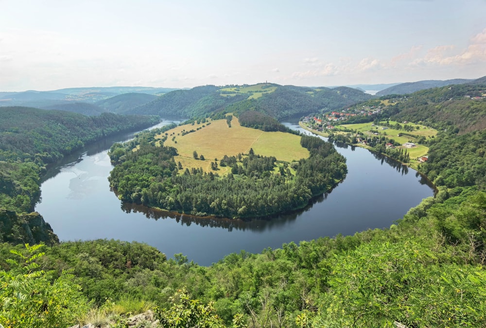 green trees near lake during daytime