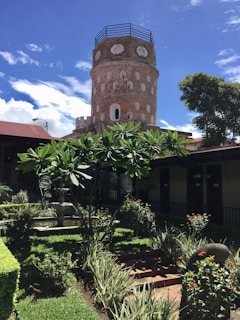 green trees near brown concrete building during daytime