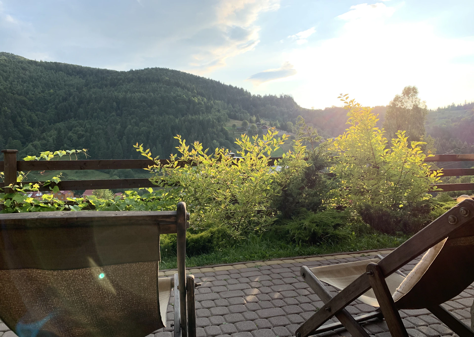 green trees and plants on the side of the mountain