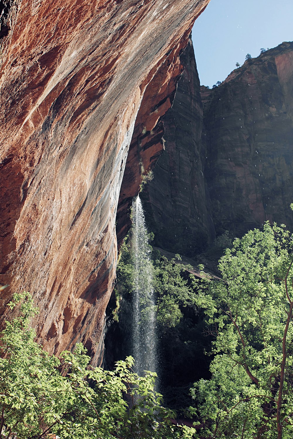 brown rocky mountain with green trees