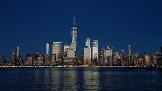 city skyline across body of water during night time