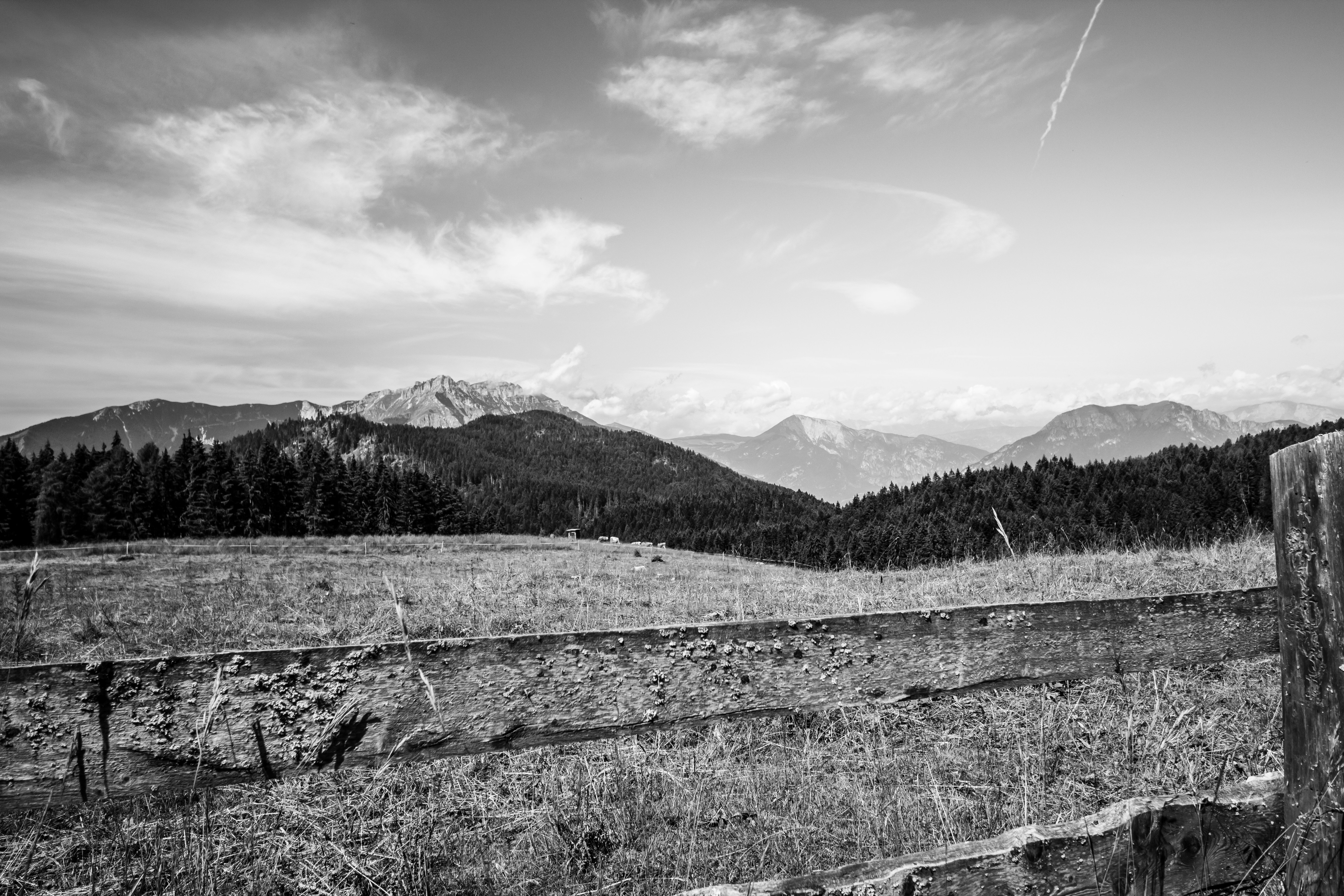 Photo by photoroutes