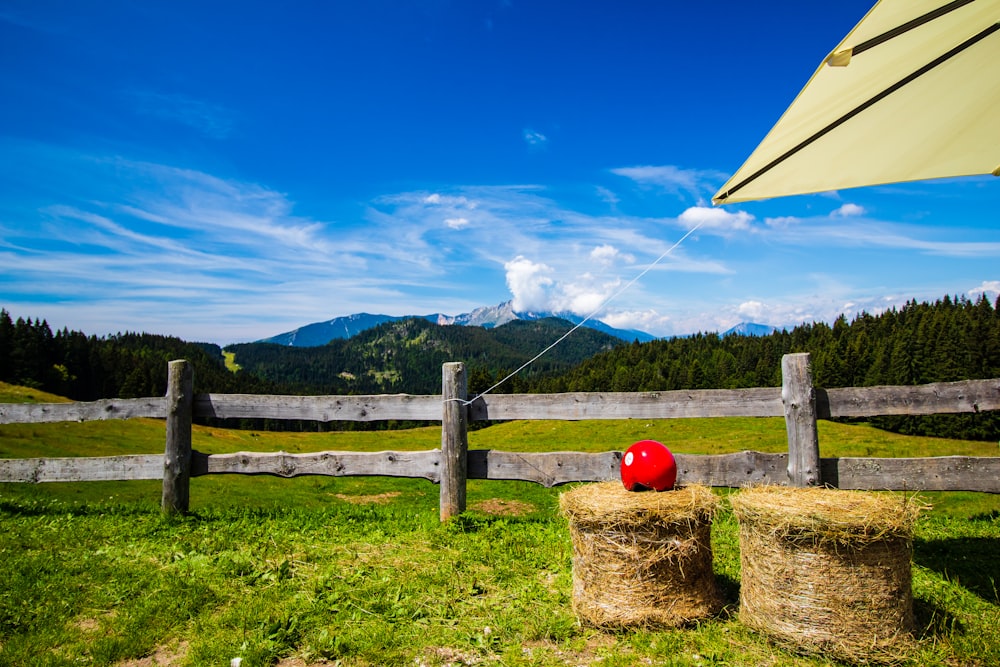 red and yellow umbrella on brown grass field under blue sky during daytime