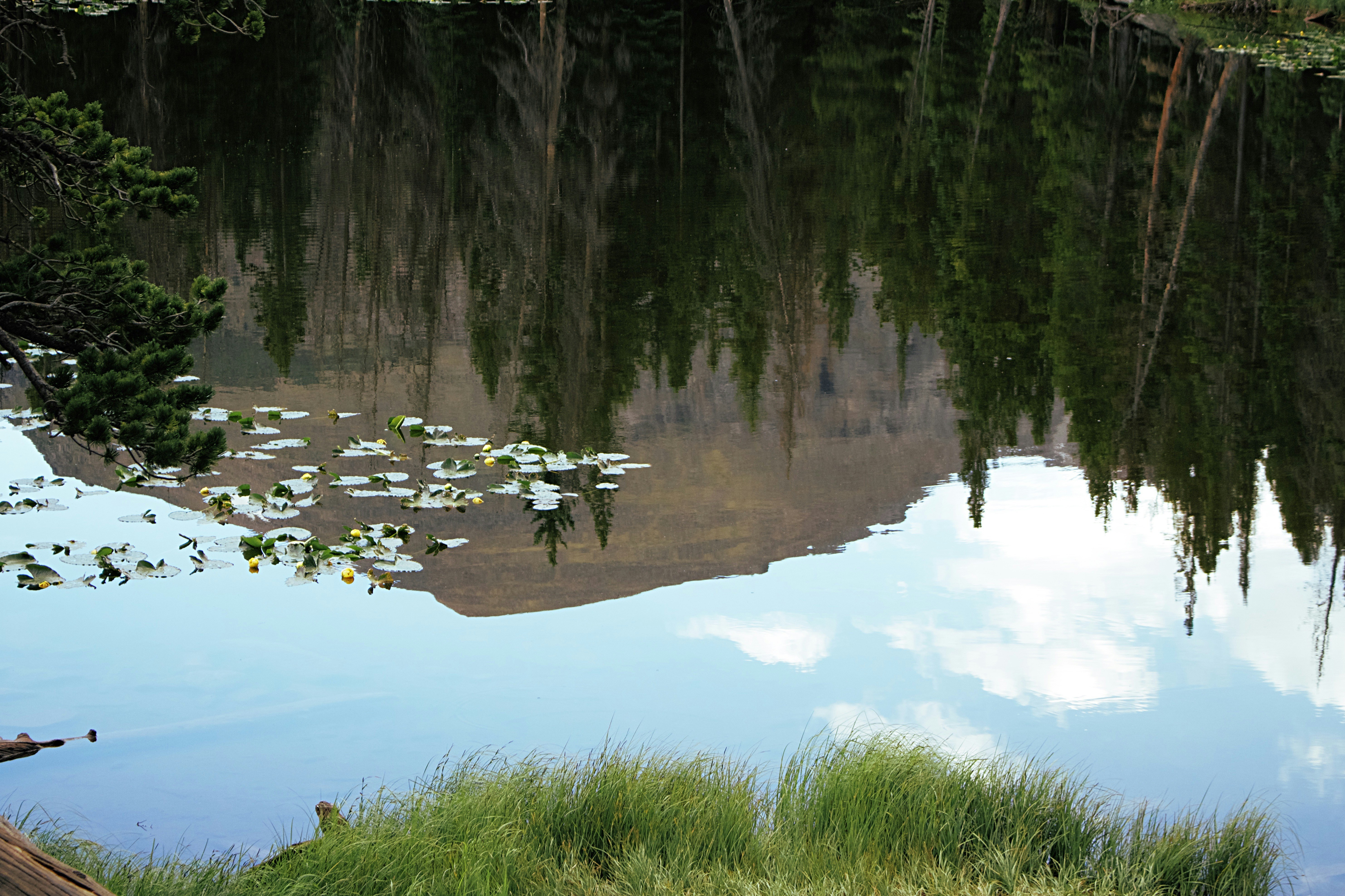 Photo by picsbyjameslee