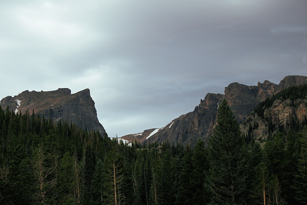 green pine trees near brown rocky mountain under white clouds during daytime