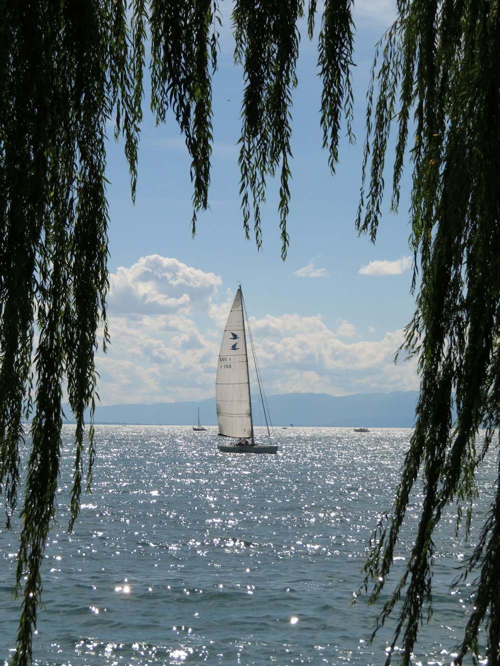 white sail boat on sea during daytime