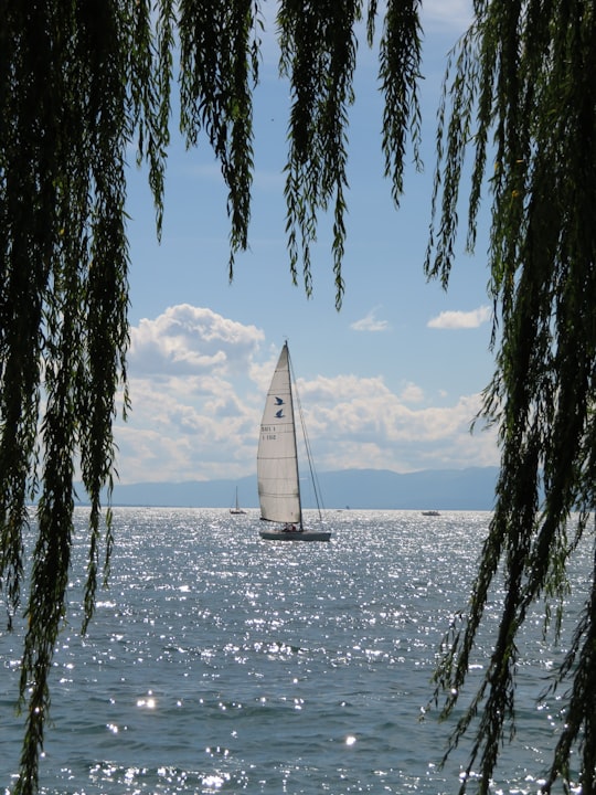 white sail boat on sea during daytime in Lutry Switzerland