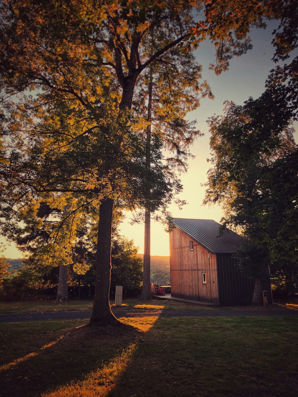 brown wooden house near green trees during daytime