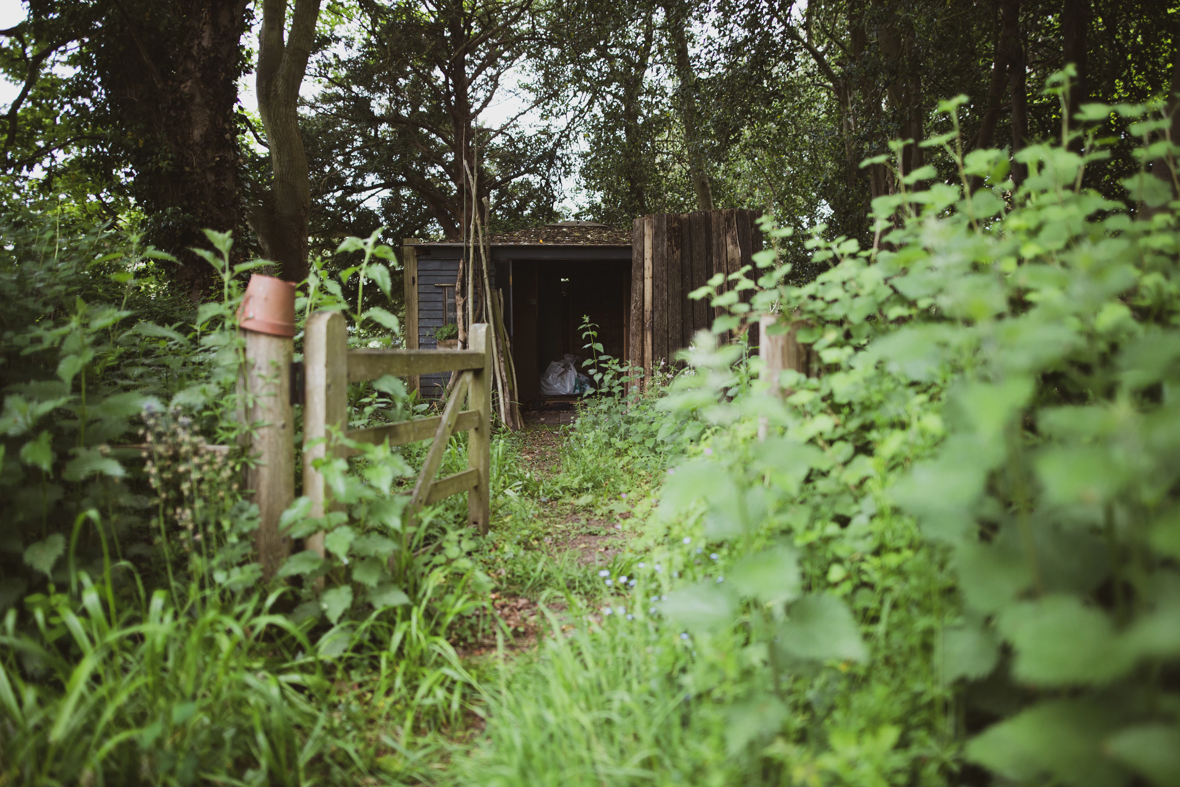 Wood Storage Sheds