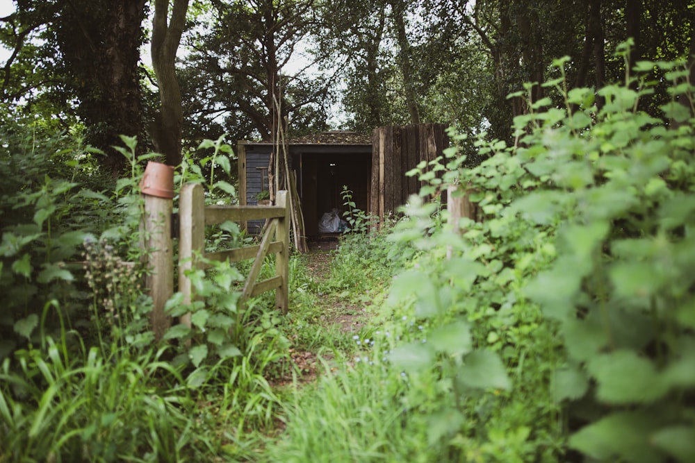 brown wooden house surrounded by green plants