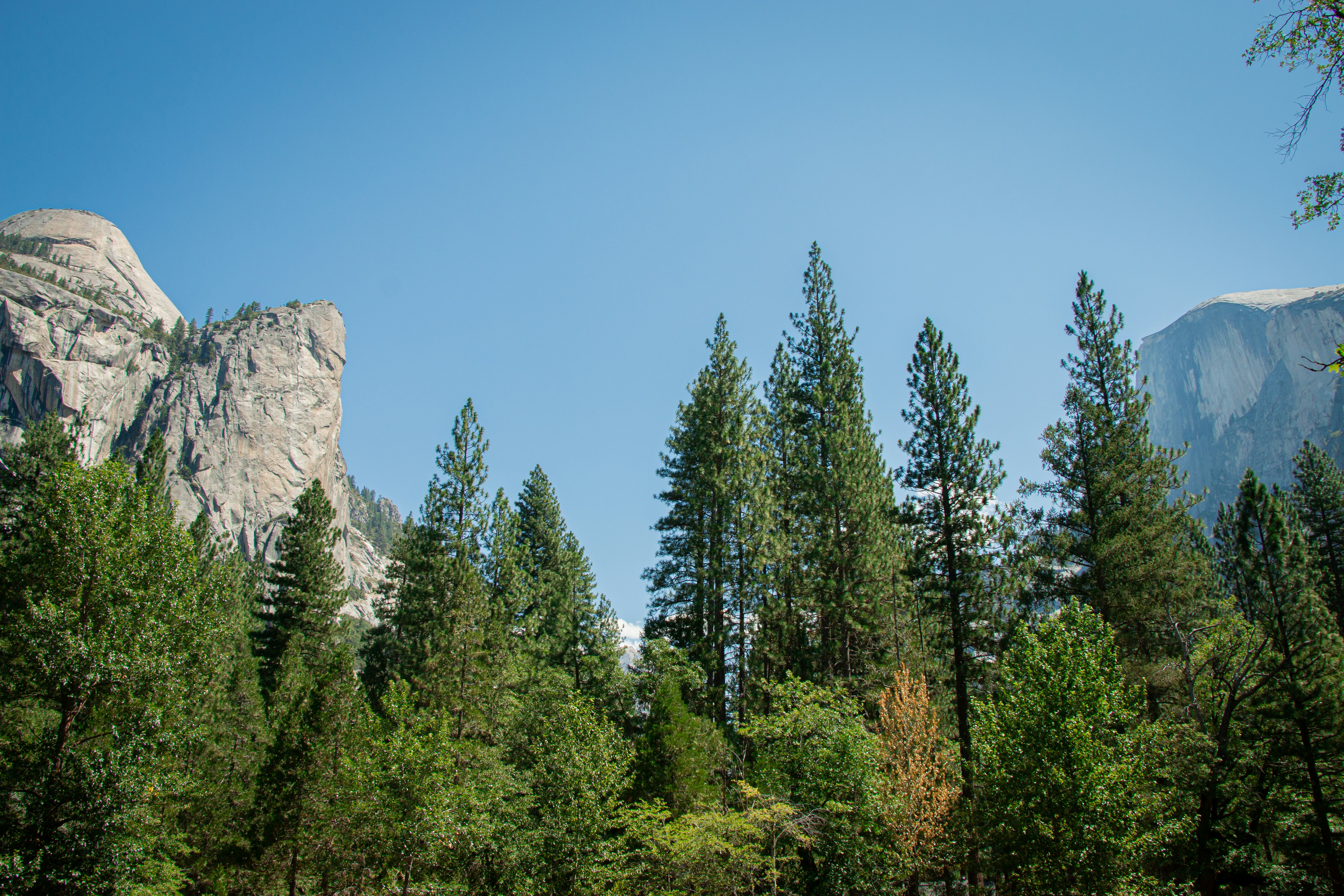 Photo by maggie_riordan