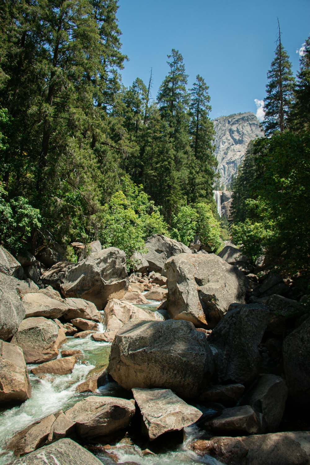 rocky river with green trees under blue sky during daytime