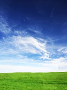 A wide open plot of land with green grass and a clear blue sky.
