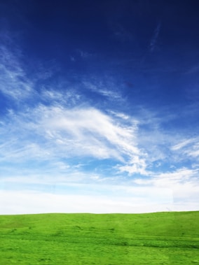 A wide-open field of vibrant green grass under a vast, blue sky with scattered white clouds. The horizon divides the lush green landscape from the expansive sky.
