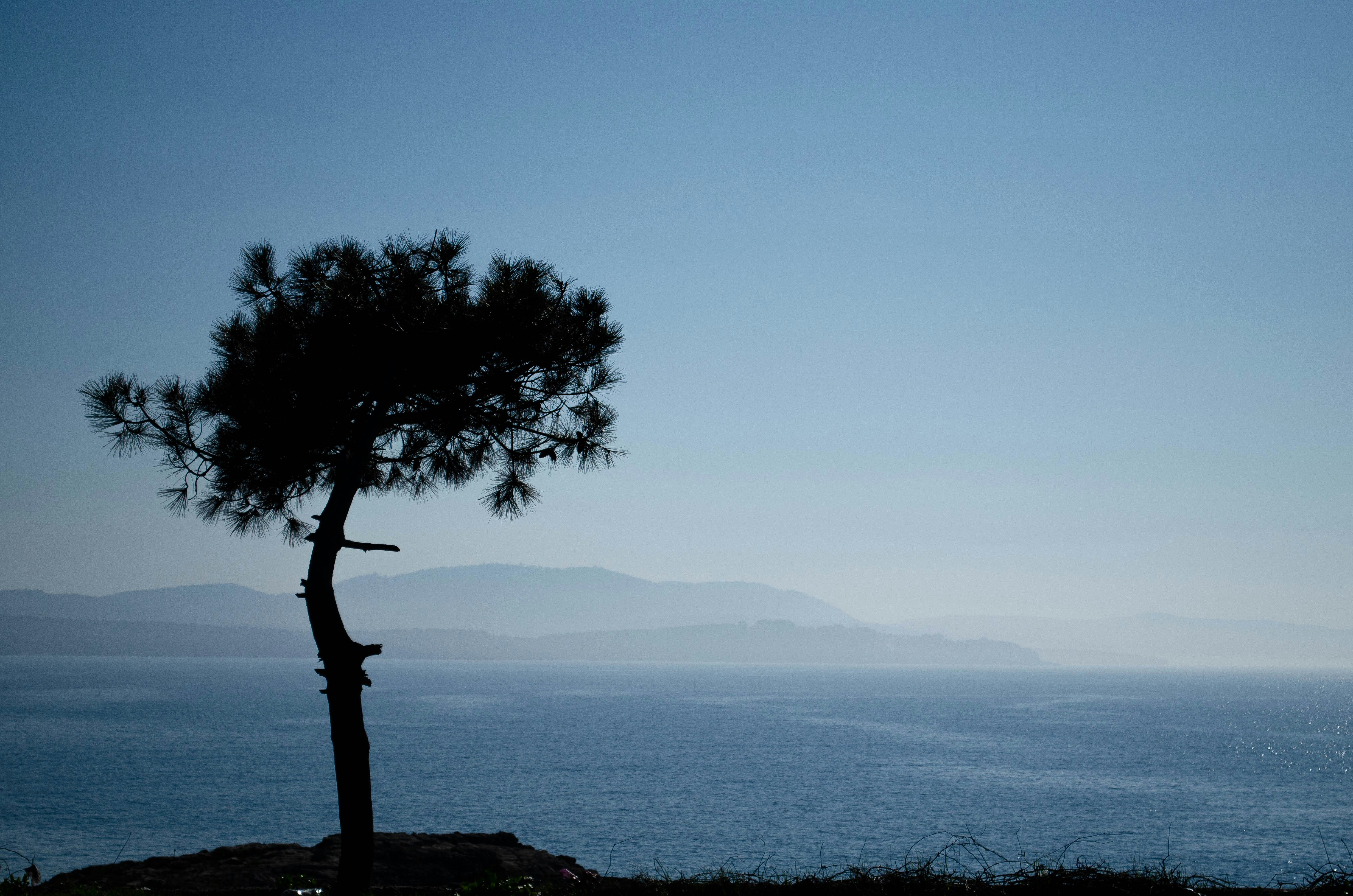 Photo by aysegulyahsi