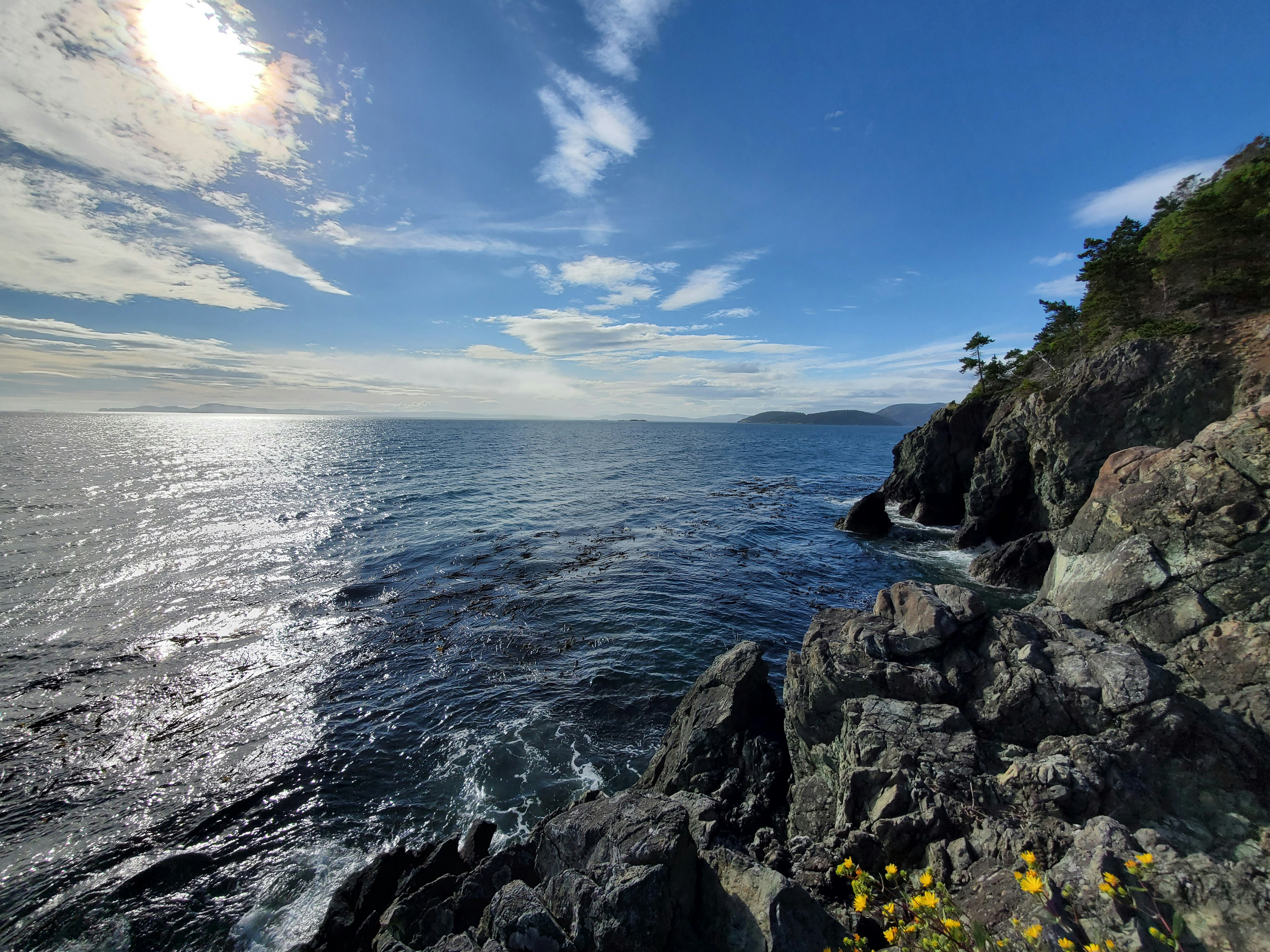 Photo by prolandscapes