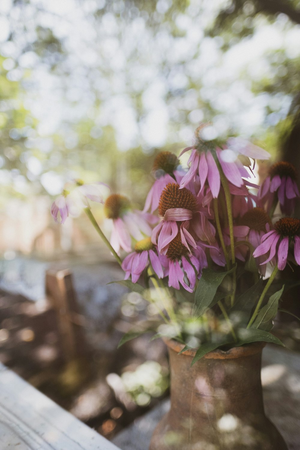 purple flower in brown clay pot