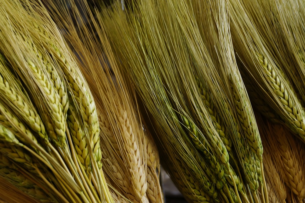 yellow and green woven textile